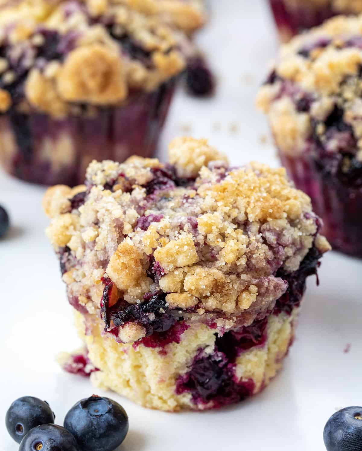 GOURMET MUFFIN BLUEBERRY