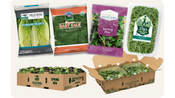 LILYS ORGANIC FARM  BABY ROMAINE