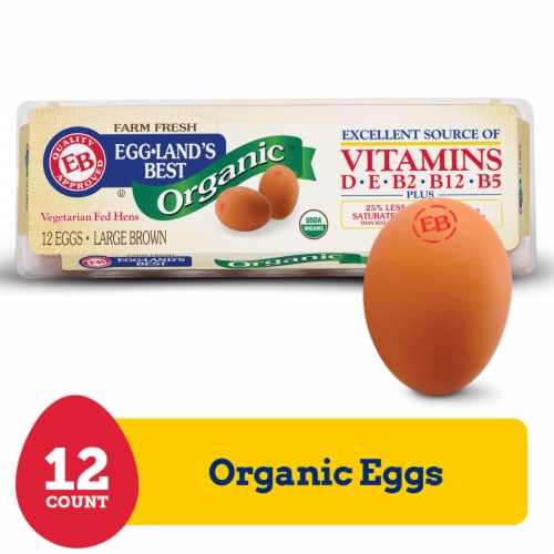 ORGANIC LARGE EGGS 12 C