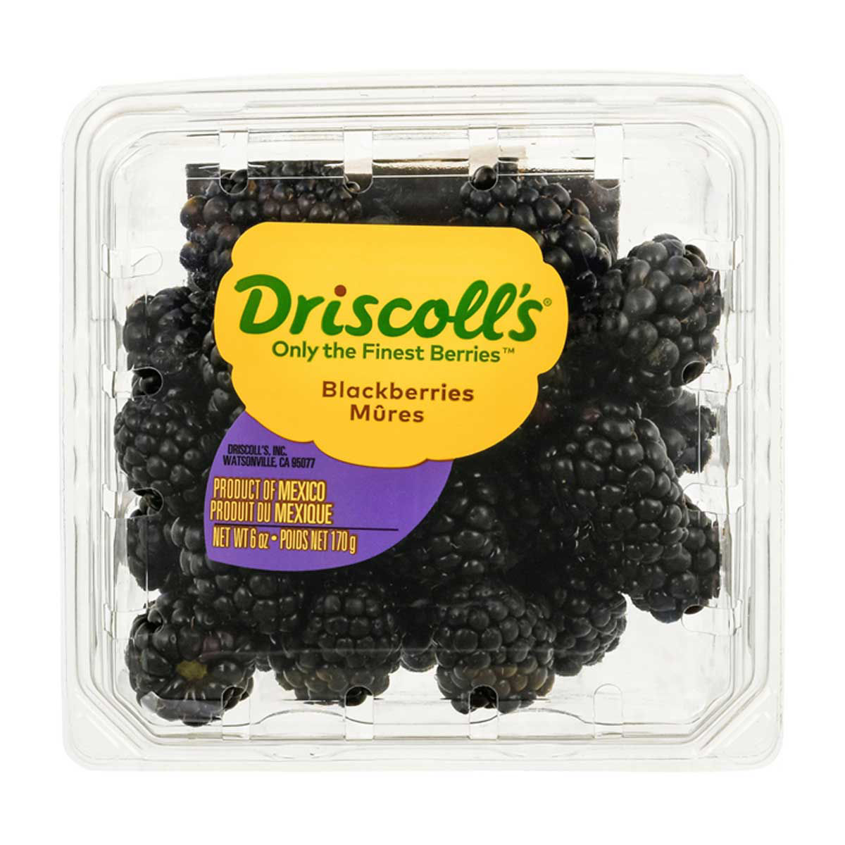 DISCOLLS BLACKBERRIES