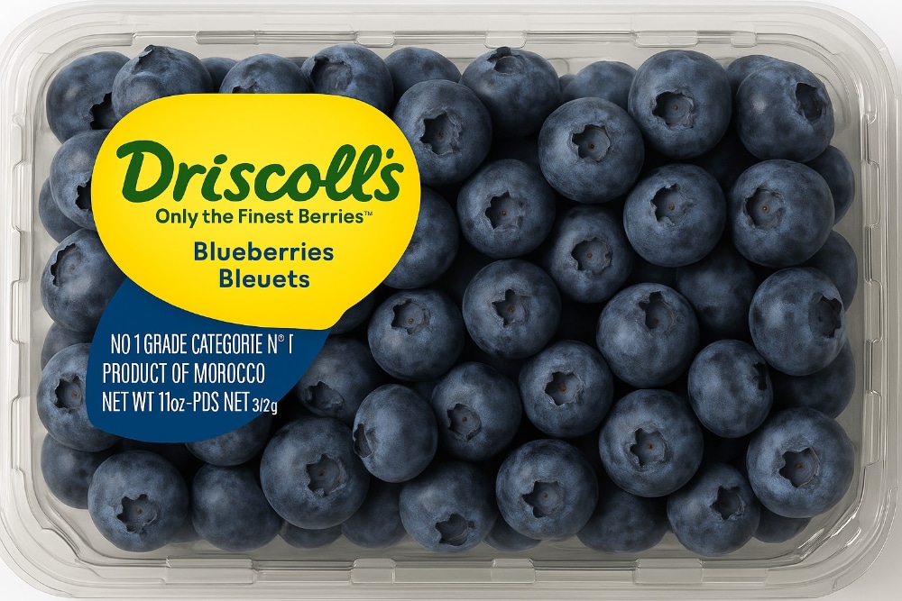 DISCOLLS BLUEBERRY 11 OZ