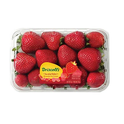 DISCOLL STRAWBERRIES FRESH