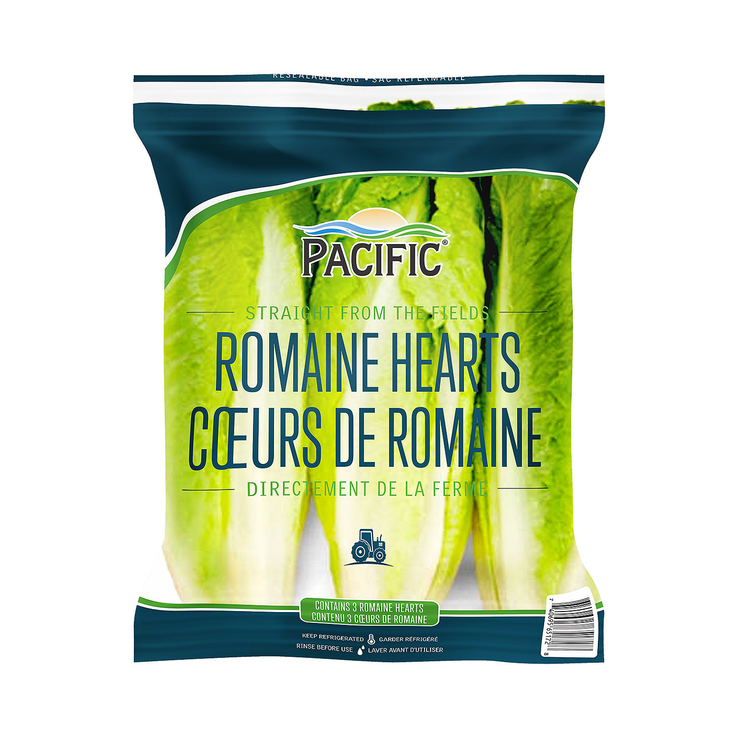 PACIFIC ROMAINE HEARTH