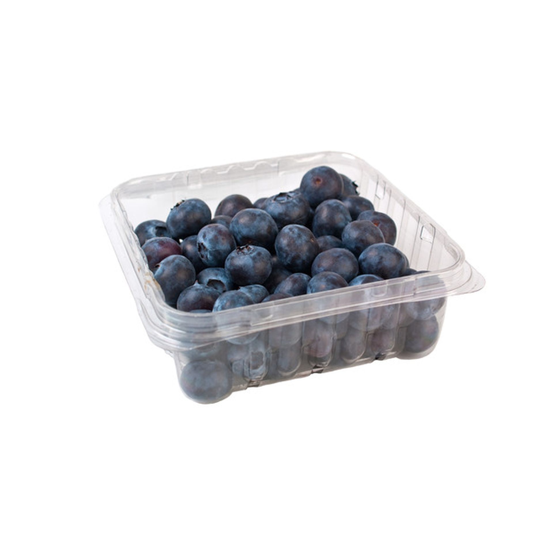 BERRY TIME BLUEBERRIES