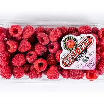 WELL PICT RASBERRIES 6 OZ