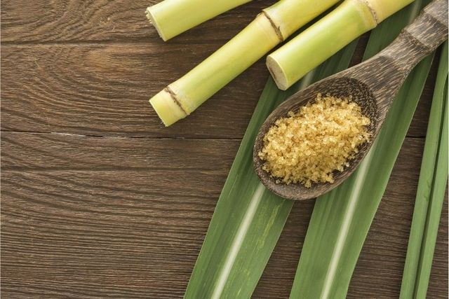 RAW SUGAR CANE