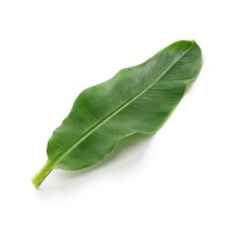 SAN ANDRES BANANA LEAVES 14 OZ