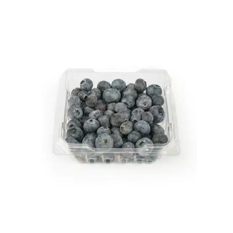 DRISCOLLS BLACKERRIES 10 OZ