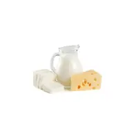 DAIRY & CHEESE