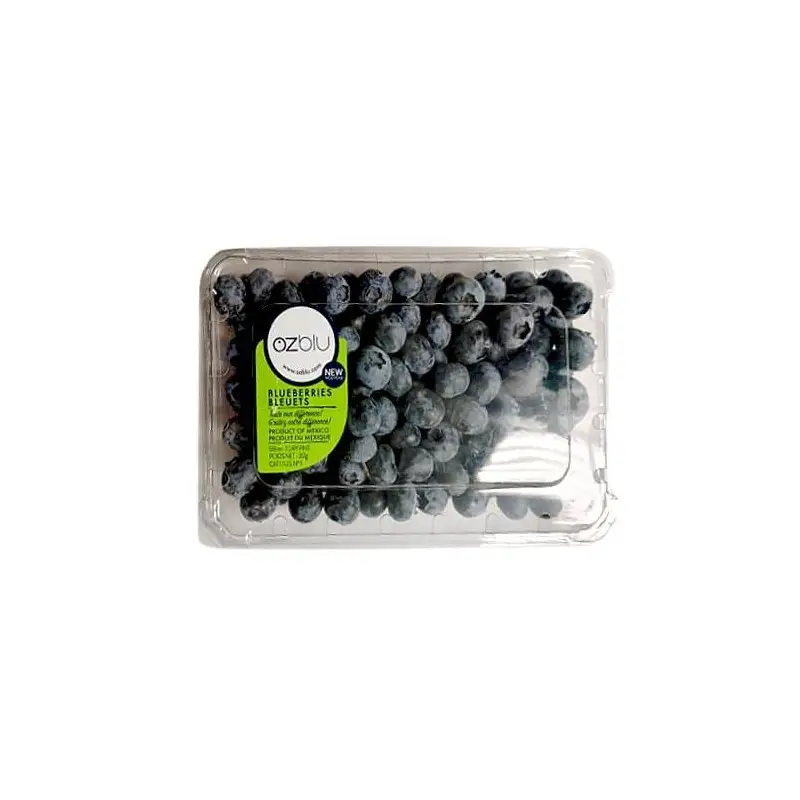 OZBLU BLUEBERRIES 6 OZ