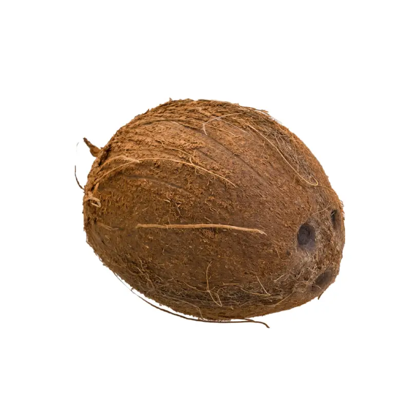 COCONUT