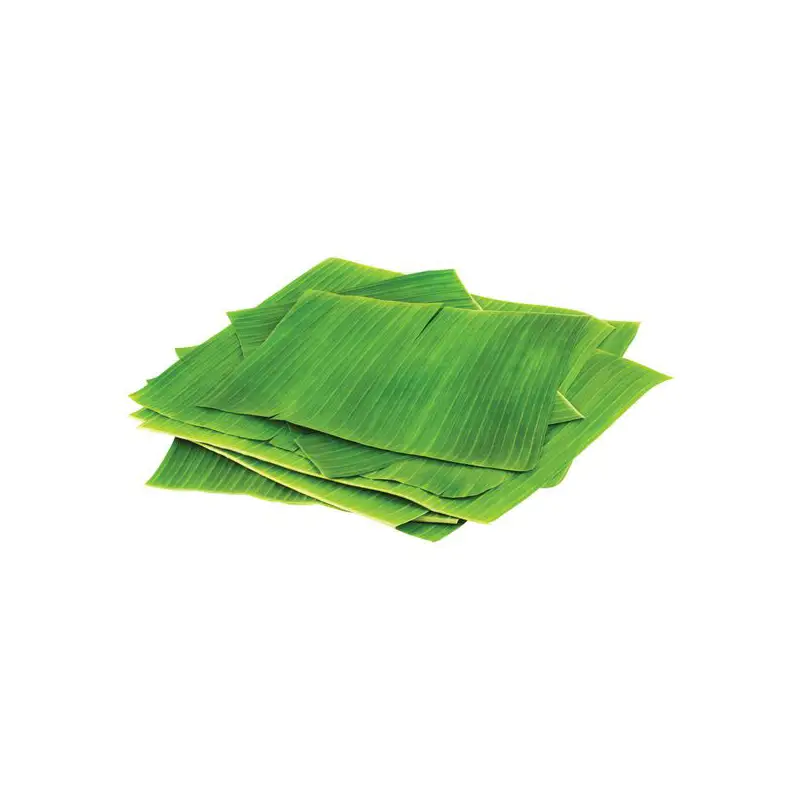 SAN ANDRES BANANA LEAVES 16 OZ