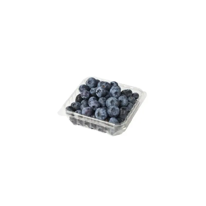 BLUBERRIES CUP 6OZ